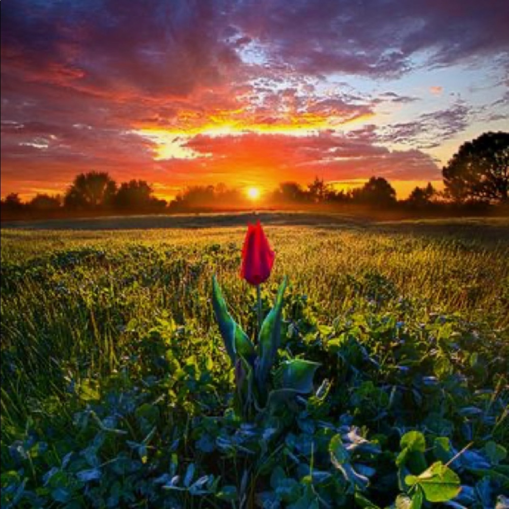 Meet your Posher, Monique